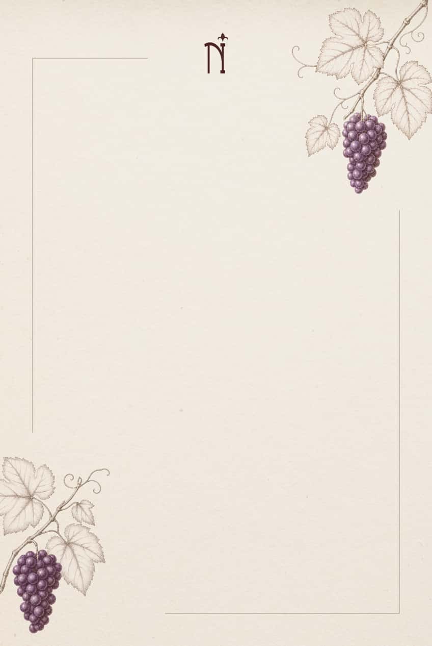 Wines menu card
